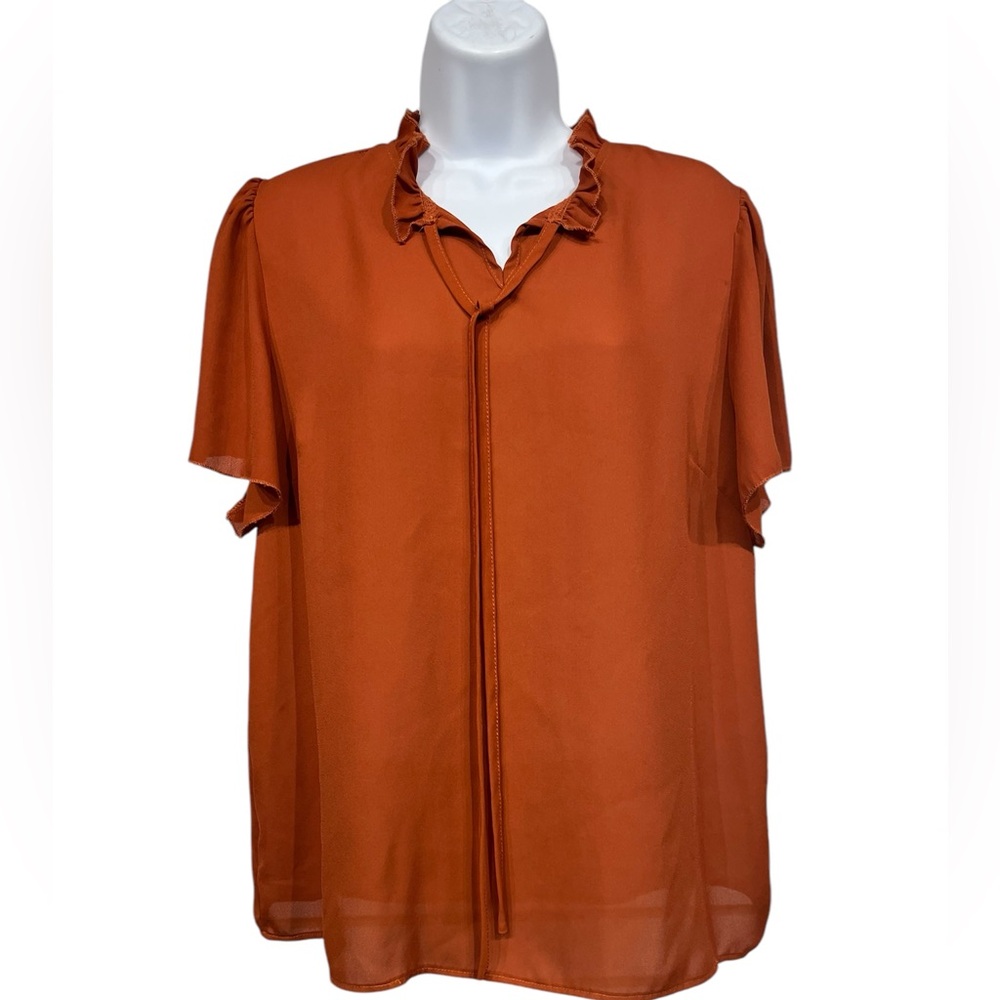 Lyaner blouse size large